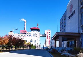 威海市文登熱電有限公司90th流化床低氮改造項目